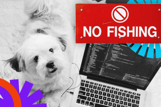 Vulnerability Found in WooCommerce Dynamic Pricing